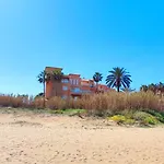 Flamingo By Costa