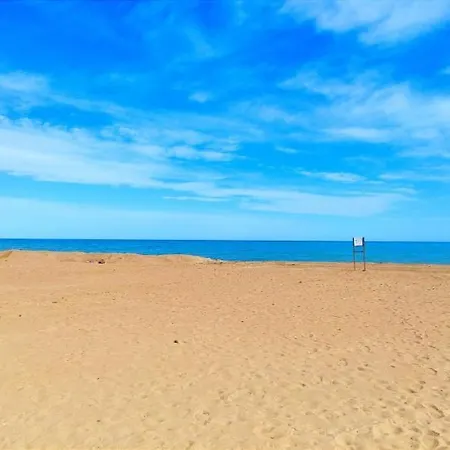 Flamingo By Costa Denia