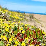 Flamingo By Costa *