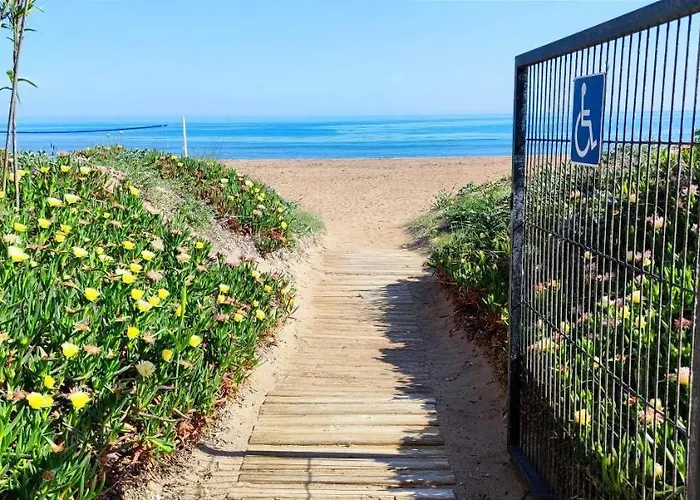 Flamingo By Costa デニア